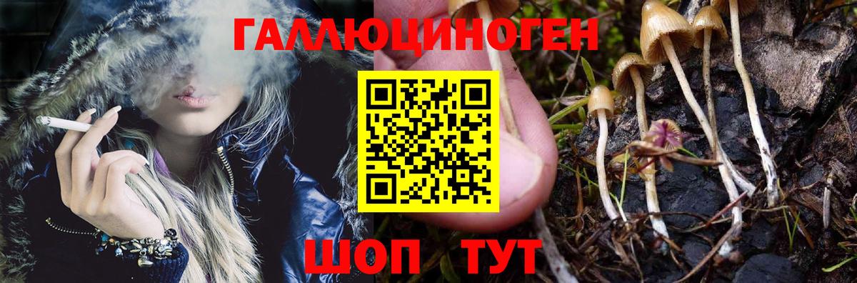 Псилоцибиновые грибы GOLDEN TEACHER Киров